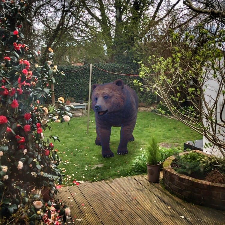 3D Augmented Reality animals - bear in the garden