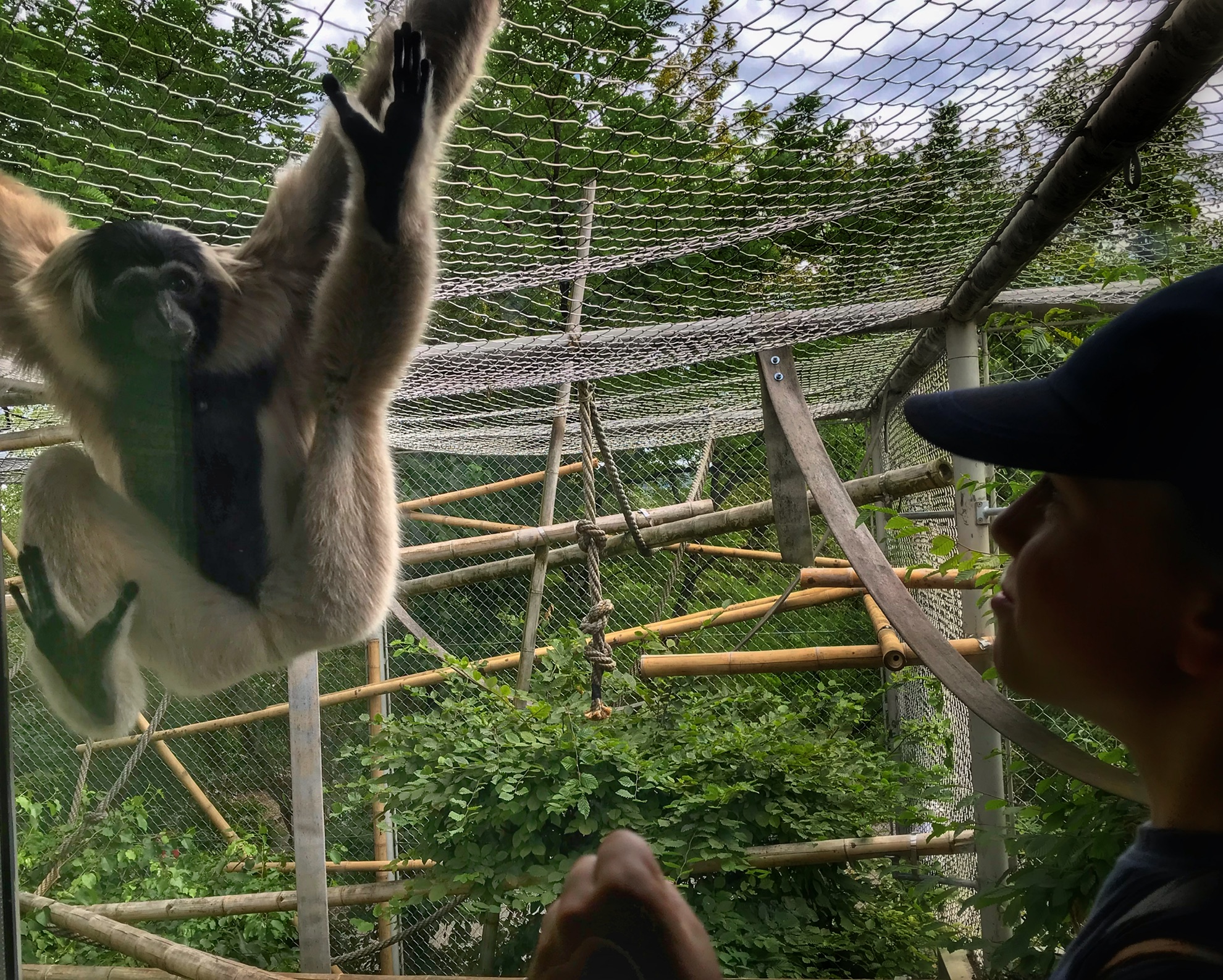 Zurich Zoo | Kto tutaj kogo oglÄ…da? ðŸ�’ | Â© Piotr Zagorowski 