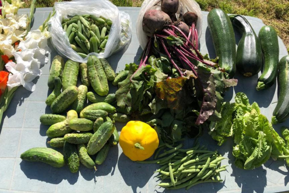 A Farmer’s Guide to Patient Leadership and Being Present in Growth